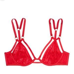 Victoria’s Secret Very Sexy Snake Lace Unlined Plunge Bra 36DD Red Gold Hardware